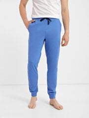Мужские штаны, голубые  цена и информация | Мужские брюки FINIS | pigu.lt