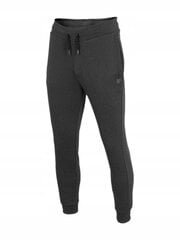 Спортивные брюки 4F серого цвета для мужчин (р. L) цена и информация | Мужская спортивная одежда | pigu.lt