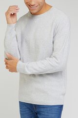 Свитер LEE L83PKHMP-M цена и информация | Мужские свитера | pigu.lt