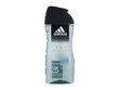 Dušp želė Adidas Dynamic Pulse 3-In-1 Shower Gel vyrams, 250 ml kaina ir informacija | Dušo želė, aliejai | pigu.lt