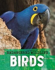 Endangered Wildlife: Rescuing Birds цена и информация | Книги для подростков  | pigu.lt