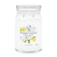 Yankee Candle kvapnioji žvakė Midnight Jasmine 567 g