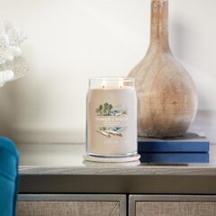 Seaside Woods - большая свеча Yankee Candle цена и информация | Подсвечники, свечи | pigu.lt