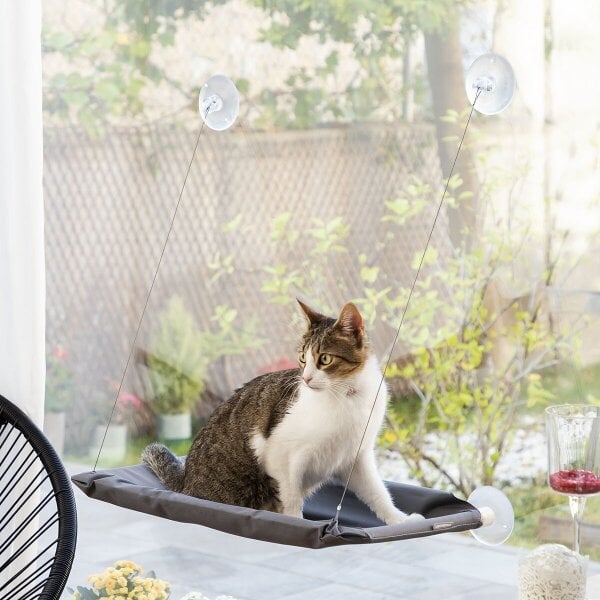 MyCat kačių hamakas ant lango kaina ir informacija | Guoliai, pagalvėlės | pigu.lt