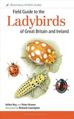 Field Guide to the Ladybirds of Great Britain and Ireland цена и информация | Книги по экономике | pigu.lt