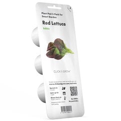 Click & Grow Smart Garden refill Red Красный салат 3 шт. цена и информация | Семена овощей, ягод | pigu.lt