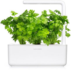 Salierai Smart Garden Click & Grow Refill, 3 vnt kaina ir informacija | Daržovių, uogų sėklos | pigu.lt