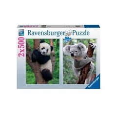 Dėlionė Panda ir Koala Ravensburger, 500 d, 2 vnt kaina ir informacija | Dėlionės (puzzle) | pigu.lt