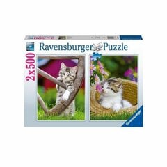 Головоломка Ravensburger Kittens 2 x 500 Предметы цена и информация | Пазлы | pigu.lt