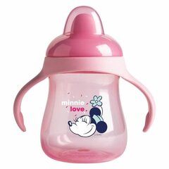 Buteliukas Disney Minnie Love, 250 ml, rožinis kaina ir informacija | Buteliukai kūdikiams ir jų priedai | pigu.lt