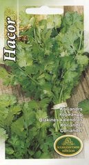 Кориандр овощной Хакор цена и информация | Семена приправ | pigu.lt