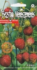 Клубничная ЭРНА без ниточек. Семена клубники цена и информация | Семена овощей, ягод | pigu.lt