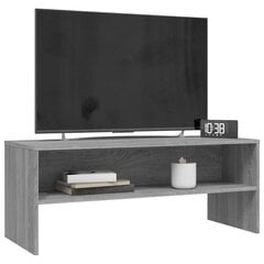 vidaXL Televizoriaus spintelė vidaXL, pilka ąžuolo, 100x40x40cm, mediena Pilka kaina ir informacija | TV staliukai | pigu.lt