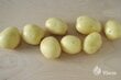 Sėklinės Bulvės Colomba A 5kg цена и информация | Daržovių, uogų sėklos | pigu.lt