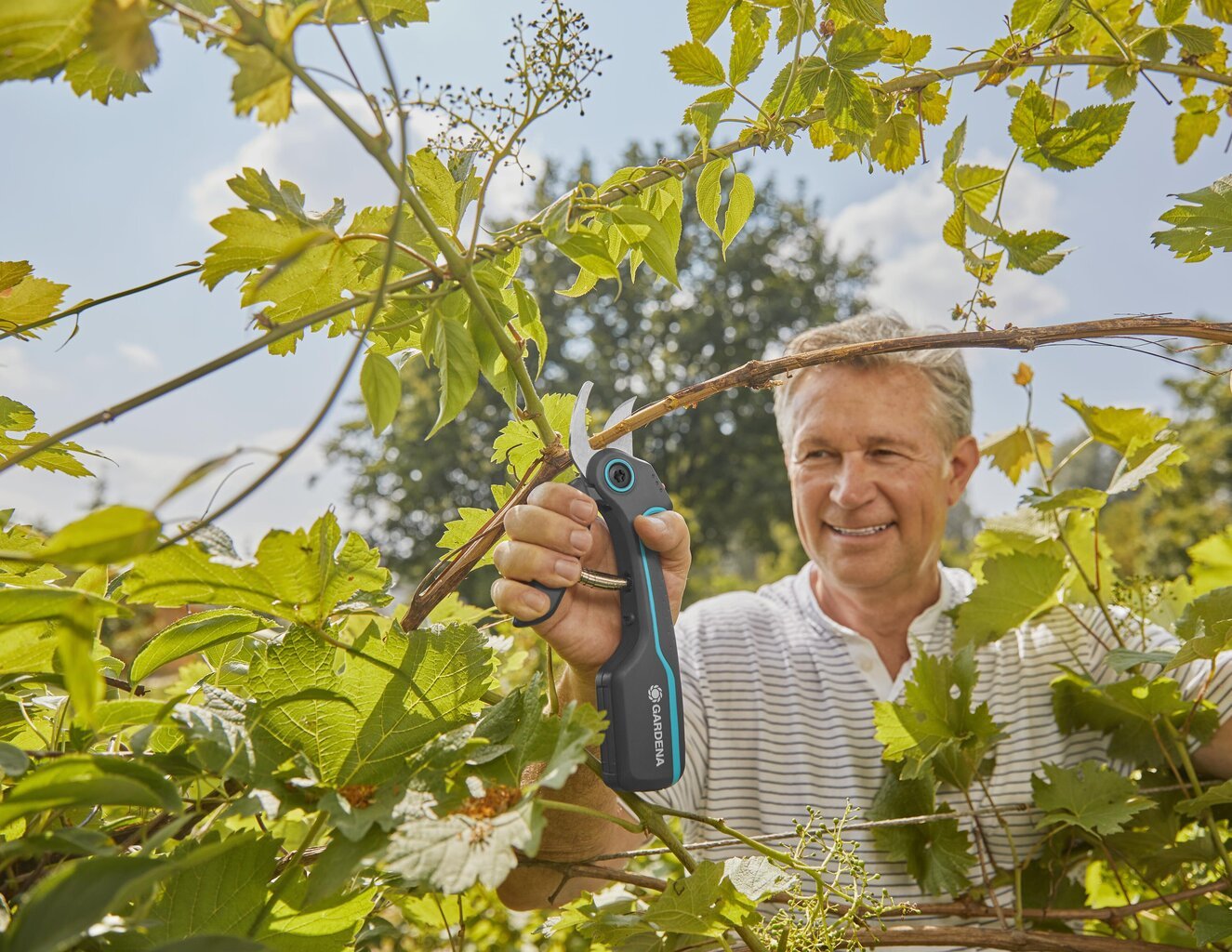 Akumuliatorinis Sekatorius Gardena Assistcut цена и информация | Sodo įrankiai | pigu.lt