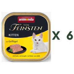 Animonda Vom Feinsten Kitten консервы для котят с домашней птицей, в упаковке 6 шт. х 100 г цена и информация | Консервы для кошек | pigu.lt