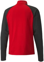 Puma džemperis vyrams TeamLiga Top Red Black 657236 01 kaina ir informacija | Džemperiai vyrams | pigu.lt