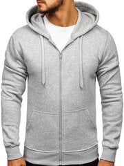 Sportinis džemperis vyrams, pilkas kaina ir informacija | Džemperiai vyrams | pigu.lt