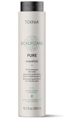 Šampūnas Lakmé Teknia Scalp Care Pure, 300 ml kaina ir informacija | Šampūnai | pigu.lt