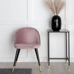 Valgomojo kėdės Venture Home Velvet, 2 vnt., rožinė/žalvario spalva цена и информация | Стулья для кухни и столовой | pigu.lt