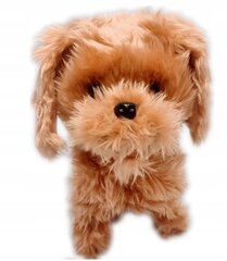 Interaktyvus šuo su pavadėliu, rudas kaina ir informacija | Minkšti (pliušiniai) žaislai | pigu.lt