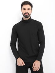Джемпер для мужчин цена и информация | Мужские свитера | pigu.lt