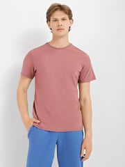 Marškinėliai vyrams Textile-Contact, rudi kaina ir informacija | Vyriški marškinėliai | pigu.lt