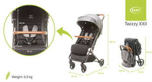 Universalus vežimėlis 4Baby Twizzy XXII, pilkas kaina ir informacija | 4Baby Vaikams ir kūdikiams | pigu.lt