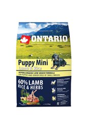 Sausas maistas jauniems mažų veislių šunims su ėriena ir ryžiais, 2,25 kg, Ontario Puppy Mini Lamb and Rice kaina ir informacija | Ontario Gyvūnų prekės | pigu.lt