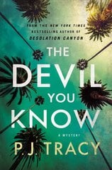 Devil You Know: A Mystery цена и информация | Фантастика, фэнтези | pigu.lt