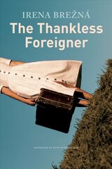 Thankless Foreigner kaina ir informacija | Fantastinės, mistinės knygos | pigu.lt