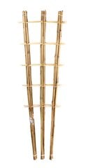 Bambuko Kopetėlės 150cm/3 kaina ir informacija | Gėlių stovai, vazonų laikikliai | pigu.lt