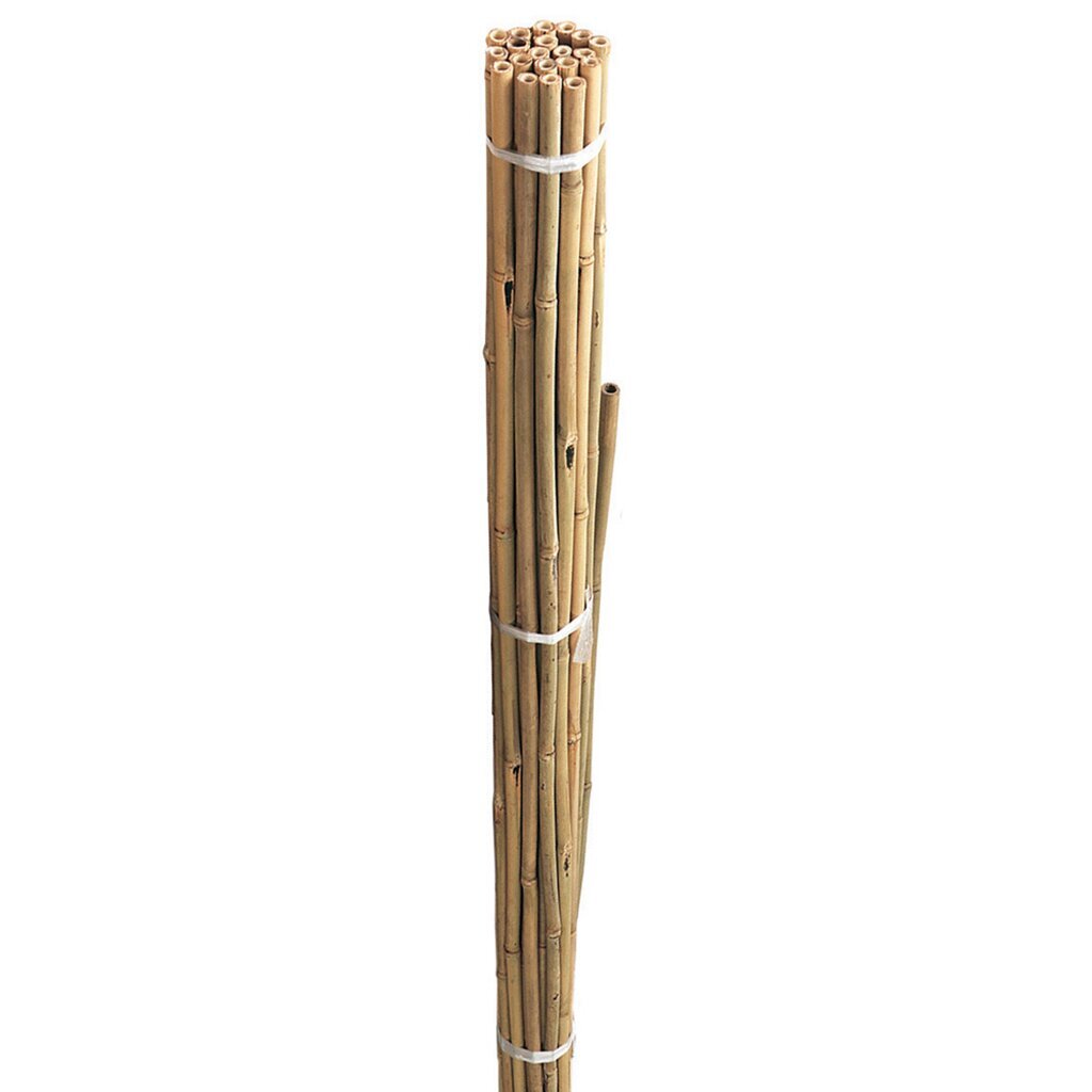 Bambukų lazdos Gardman, 20 vnt kaina ir informacija | Sodo įrankiai | pigu.lt