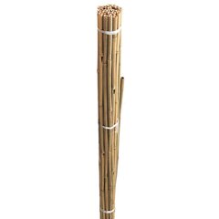 Bambukų Lazdos 08088 210cm 10vnt kaina ir informacija | Sodo įrankiai | pigu.lt