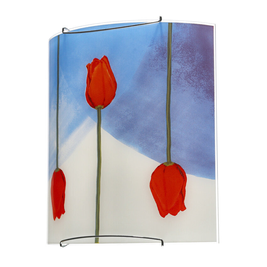 Candellux sieninis šviestuvas Tulipany цена и информация | Sieniniai šviestuvai | pigu.lt