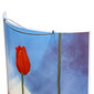 Candellux sieninis šviestuvas Tulipany kaina ir informacija | Sieniniai šviestuvai | pigu.lt