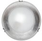 Candellux lubinis šviestuvas Srebro kaina ir informacija | Lubiniai šviestuvai | pigu.lt