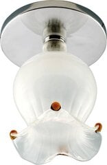 Подвесной светильник Candellux Sk-38 цена и информация | Люстры | pigu.lt