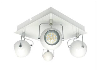 Потолочный светильник Candel 5598-25036-Z цена и информация | Потолочные светильники | pigu.lt