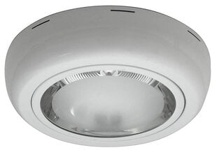 Потолочный светильник DMN-01 цена и информация | Потолочные светильники | pigu.lt