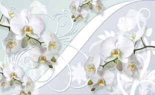Fototapetai Orchidėjų gėlės цена и информация | Фотообои | pigu.lt