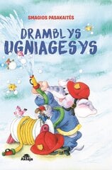 Smagios pasakaitės. Dramblys ugniagesys цена и информация | Сказки | pigu.lt