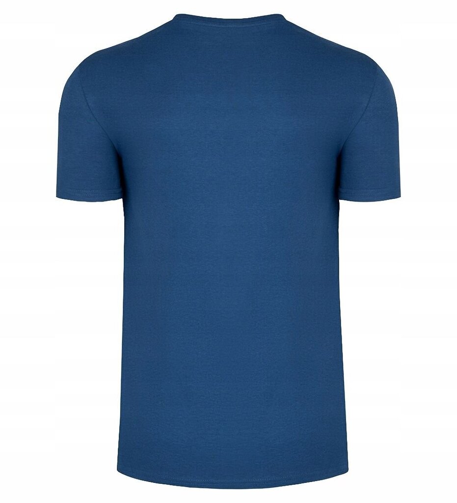 Marškinėliai vyrams 4F, mėlyni цена и информация | Vyriški marškinėliai | pigu.lt