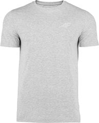 Marškinėliai vyrams 4F, pilki kaina ir informacija | Vyriški marškinėliai | pigu.lt