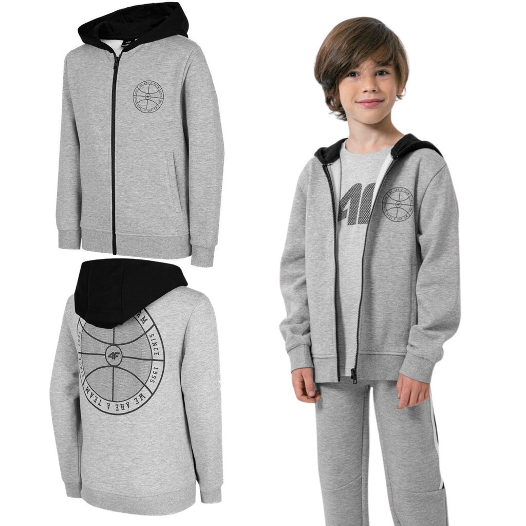 Bluzonas berniukams 4F, pilkas цена и информация | Megztiniai, bluzonai, švarkai berniukams | pigu.lt