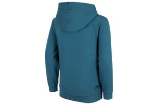 Džemperis berniukams 4f, mėlynas kaina ir informacija | Megztiniai, bluzonai, švarkai berniukams | pigu.lt