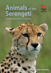 Animals of the serengeti kaina ir informacija | Knygos apie sveiką gyvenseną ir mitybą | pigu.lt