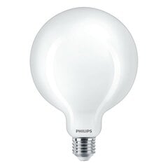 Led lemputė Philips 1 vnt kaina ir informacija | Elektros lemputės | pigu.lt