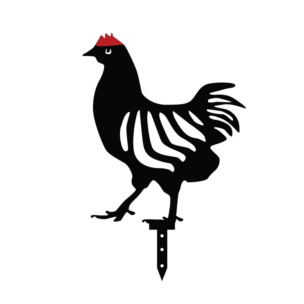 Sodo dekoracijų komplektas Chicken Family, 4 dalių kaina ir informacija | Sodo dekoracijos | pigu.lt
