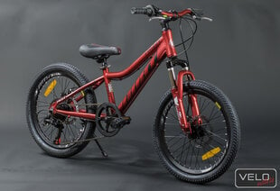 Детский велосипед, Gust Frizzy 20cll красный цена и информация | Велосипеды | pigu.lt